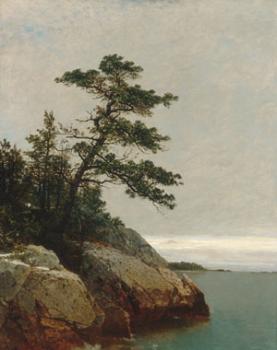John Frederick Kensett : The Old Pine Darien Connecticut